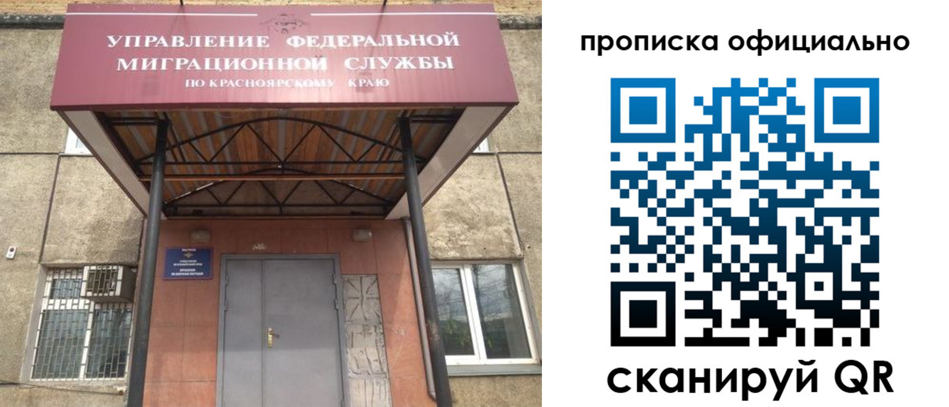 прописка поиск в Светогорске